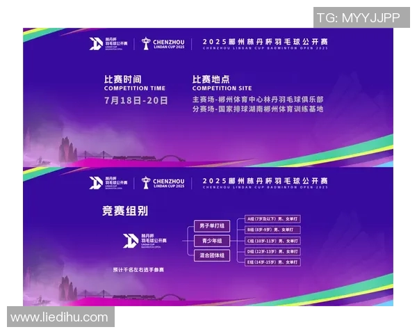 羽毛球国际赛事奖金与排名对选手职业发展的深远影响分析 羽毛球国际赛事奖金与排名对选手职业发展的深远影响分析