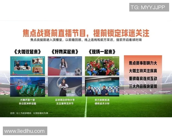 欧洲杯赛事市场营销与商业价值研究 欧洲杯赛事市场营销与商业价值研究