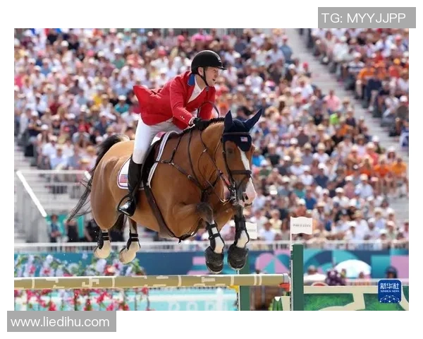 奥运马术赛中国组合晋级决赛,首战即惊艳全场